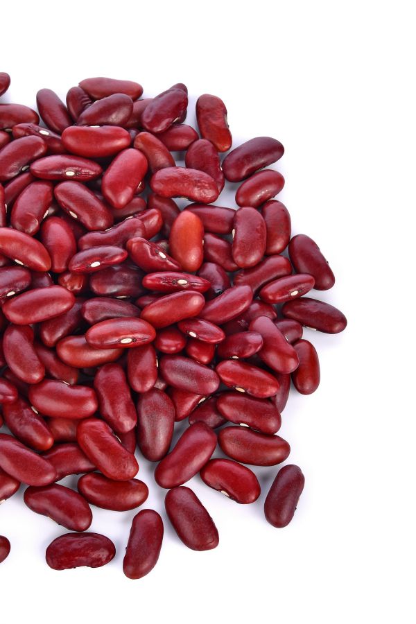 Required Certifications for Exporting & Importing Iranian Red Kidney Beans (ISO, HACCP, Organic, Halal)